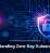 Understanding Zero-Day Vulnerabilities